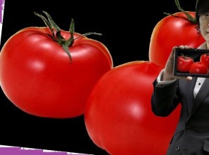 томаты помидоры журналистика